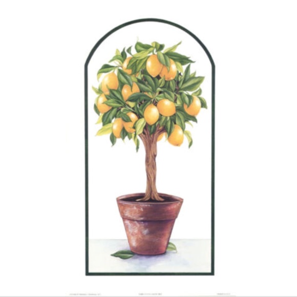 Fruit Tree Prints Terra Cotta Lemon Plum Apple Pear 7 1/2 x 13 - Picture 3 of 4